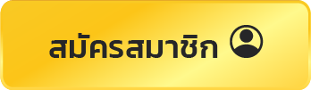 mc333